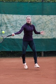 Bild 446 - NL VfL Westercelle - SVE Wiefelstede : Ergebnis: 8:1